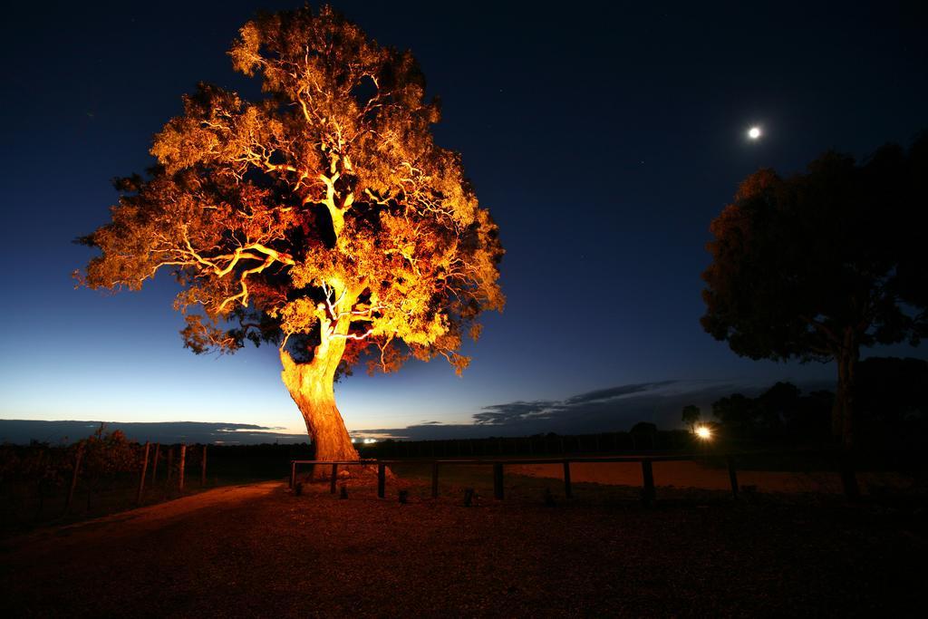 Highbank Country Accommodation Coonawarra Pokoj fotografie