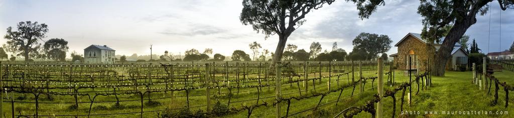 Highbank Country Accommodation Coonawarra Exteriér fotografie