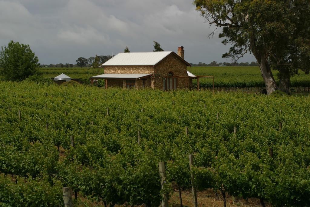 Highbank Country Accommodation Coonawarra Exteriér fotografie